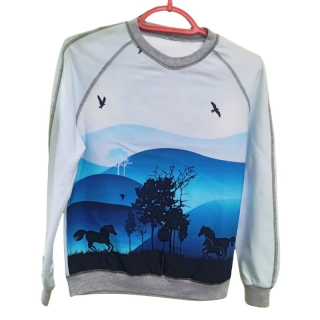 NIKOLEX Chlapecká mikina Koně vel. 128